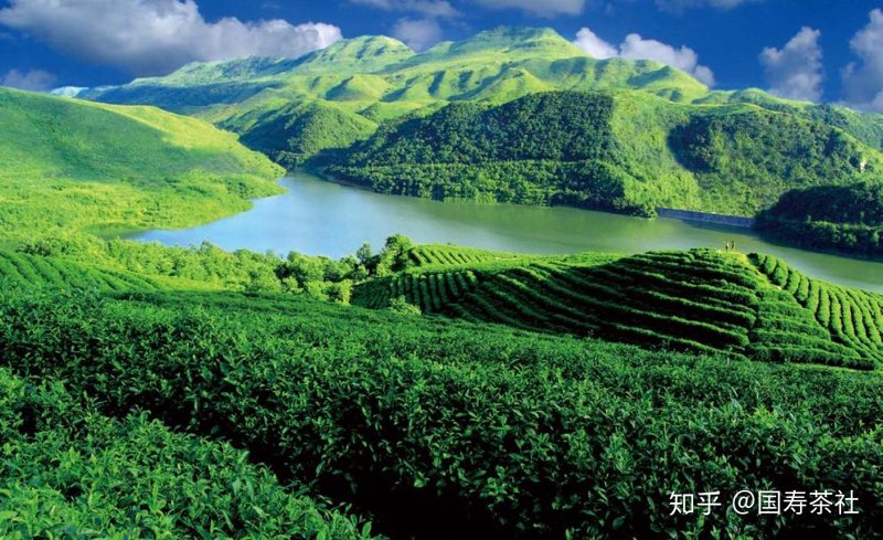 贵州农特产采购与批发全指南：从产地风味到全国货架的生意经
